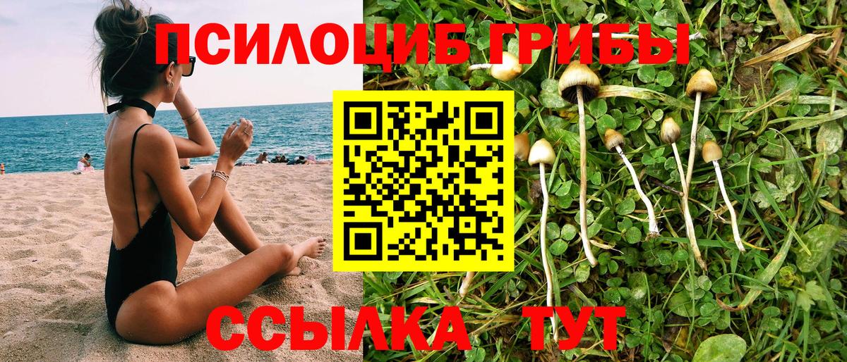 Дмитров  Псилоцибиновые грибы мухоморы  Вход с VPN 