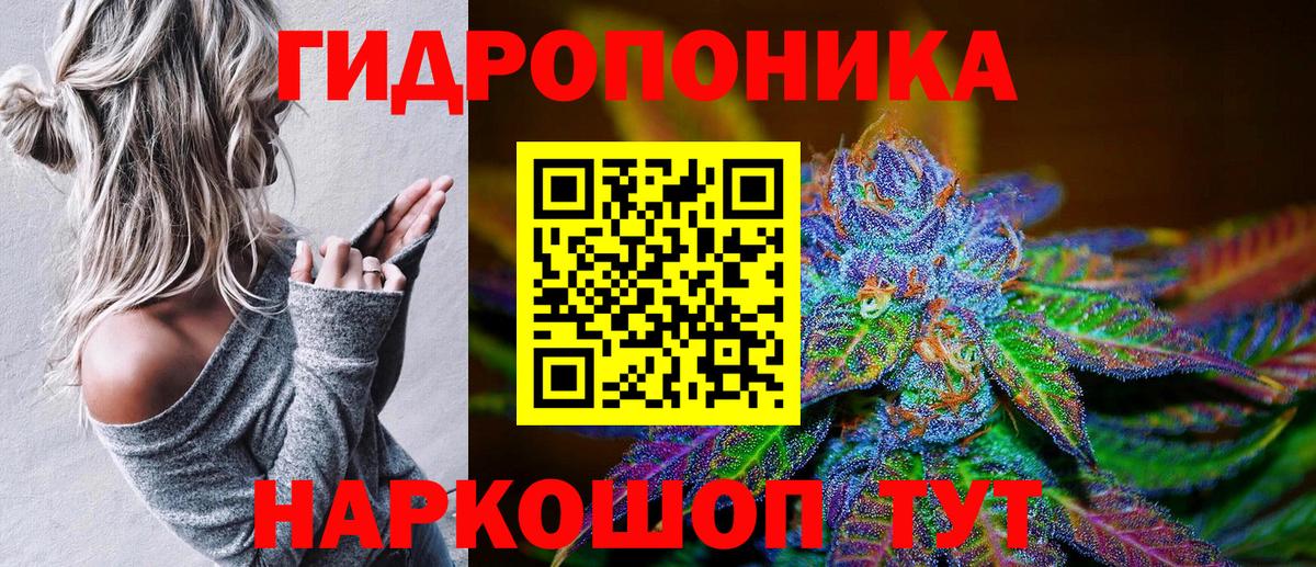 Канабис Bruce Banner Дмитров
